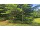 Scenic outdoor space featuring verdant trees and lush greenery offers a tranquil retreat in nature at 11056 Us Highway 52 N Hwy, Wadesboro, NC 28170