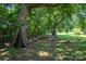 Shaded backyard featuring mature trees, green grass, and wooden swing beneath the tree at 2526 Ashford Dr, Newton, NC 28658