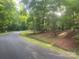 A winding street has grassy areas lined with mature trees and a home in the background at 4050 Rollingwood Cir, Rock Hill, SC 29732