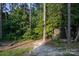 Scenic backyard with a small wooden outbuilding, tall trees, and greenery creating a private, natural outdoor space at 5329 E Highway 27 Hwy, Iron Station, NC 28080