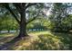 Beautiful, large shade tree in front yard creating dappled sunlight on lawn with manicured hedges at 5329 E Highway 27 Hwy, Iron Station, NC 28080