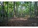 A lush, wooded area with tall trees and natural ground cover offering a serene and private setting at 5329 E Highway 27 Hwy, Iron Station, NC 28080