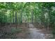 A tranquil wooded path winds through the property, highlighting its natural beauty and secluded ambiance at 5329 E Highway 27 Hwy, Iron Station, NC 28080