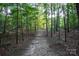 A natural wooded path meanders through the property, showcasing the serene beauty and seclusion of the landscape at 5329 E Highway 27 Hwy, Iron Station, NC 28080