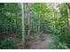 A serene wooded path winds through the property, showcasing the natural beauty and privacy of the land at 5329 E Highway 27 Hwy, Iron Station, NC 28080
