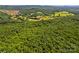 Lush green forest, showcasing dense trees, distant fields, and providing a serene, natural backdrop at 1043 Linneys Mill Rd, Union Grove, NC 28689