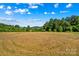Tranquil view of a golden field with trees and mountains in the distance at 1043 Linneys Mill Rd, Union Grove, NC 28689