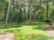 Expansive backyard with lush greenery and mature trees, perfect for outdoor activities at 4618 Emory Ln, Charlotte, NC 28211