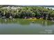 Scenic aerial view showcases lakefront homes surrounded by mature trees and a private boat dock at 18027 Wilbanks Dr, Charlotte, NC 28278