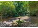 Backyard with lush landscaping and garden area with a small birdbath at 2818 Levinfield Ct, Lincolnton, NC 28092