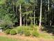 A serene backyard featuring mature trees, flowering bushes, manicured lawns, and a decorative bird bath at 44112 Harper Hearne Rd, New London, NC 28127
