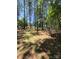 Scenic view of wooded land for sale, with glimpse of home in distance at 44112 Harper Hearne Rd, New London, NC 28127