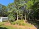 Lush landscaped yard with towering pine trees, flowering bushes, and a storage shed, creating a serene outdoor space at 44112 Harper Hearne Rd, New London, NC 28127