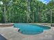 Backyard pool and spa surrounded by mature trees, with lounge chairs on patio at 631 May Green Dr, Clover, SC 29710