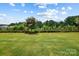 Large grassy backyard with a black metal fence and view of tall grasses, bushes, and trees at 7058 Cloer Ct, Charlotte, NC 28214