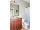 Full bathroom with a wood vanity, toilet and a shower curtain at 1026 Arges River Dr, Fort Mill, SC 29715