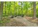 An inviting outdoor fire pit area surrounded by lush greenery and comfortable seating at 2984 Starnes Dr, Rock Hill, SC 29730