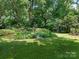 Lush backyard featuring a well-maintained lawn, mature trees, and a variety of beautiful plants and flowers at 827 Museum Dr, Charlotte, NC 28207