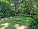 Lush backyard with mature trees providing ample shade, creating a peaceful and private outdoor space at 827 Museum Dr, Charlotte, NC 28207