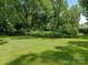 Expansive backyard featuring a well-maintained lawn, mature trees, and plenty of space for outdoor activities at 827 Museum Dr, Charlotte, NC 28207