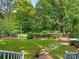 Lush backyard featuring green grass and manicured bushes and trees at 827 Museum Dr, Charlotte, NC 28207