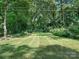 Expansive backyard with lush green grass, mature trees, and plenty of space for outdoor activities at 827 Museum Dr, Charlotte, NC 28207