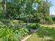 Beautiful garden featuring brick-lined pathways, lush greenery, and a charming shed in a tranquil backyard setting at 827 Museum Dr, Charlotte, NC 28207