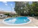 A clean pool surrounded by trees and lounge chairs at 1300 Reece Rd # 305, Charlotte, NC 28209