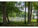 Picturesque lake view with geese swimming, framed by mature trees offering a serene nature setting at 795 Peninsula Dr, Davidson, NC 28036
