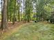 Lush backyard with mature trees, grassy areas, and a secluded seating area at 13101 Kensworth Ct, Charlotte, NC 28277