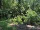 Green trees and overgrown vegetation at 1355 Oak Breeze Dr, Mooresville, NC 28115