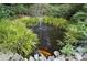 A serene koi pond with colorful fish and a gentle fountain surrounded by lush greenery at 4831 Antioch Church Rd, Matthews, NC 28104