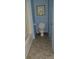Bathroom with a toilet, framed picture, and blue walls at 500 Steel Bridge Loop, Hickory, NC 28601