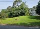 A well-manicured lawn leads up to a charming home surrounded by lush greenery at 500 Steel Bridge Loop, Hickory, NC 28601
