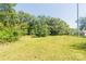 A large, green backyard with mature trees, offering plenty of outdoor space at 1818 Stowe Ave, Gastonia, NC 28054