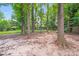 Large, private backyard with mature trees at 6513 Old Post Rd, Charlotte, NC 28212
