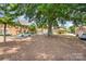 Community grounds showcase well-maintained townhomes with a large shade tree and several parked cars at 2825 Sharon View Rd, Charlotte, NC 28210