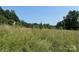Expansive, overgrown land, with a glimpse of buildings beyond the tall weeds at 4171 Leatherman Rd, Vale, NC 28168