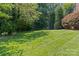 Expansive backyard featuring lush green grass and mature trees, perfect for outdoor activities at 1019 Westlake Dr, Kannapolis, NC 28081
