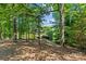 Secluded backyard with mature trees and a charming swing, creating a tranquil retreat at 1019 Westlake Dr, Kannapolis, NC 28081