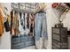 Well-organized walk-in closet with ample storage, including shelves, drawers, and hanging space at 13323 Savaine St, Charlotte, NC 28278