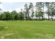 Scenic view of backyard with lush green grass and mature trees at 3003 Wedge Ct, Matthews, NC 28104