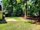 Spacious backyard featuring lush greenery and a peaceful, natural setting at 7228 Rollingridge Dr, Charlotte, NC 28211