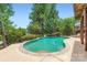 A kidney-shaped pool blends seamlessly into the landscape, offering a tranquil escape amidst mature trees at 844 Clonmel Dr, Matthews, NC 28104