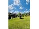 Expansive backyard offering lush greenery and manicured landscaping at 3011 Ella Katherine Way, Charlotte, NC 28210