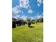Spacious backyard featuring a lush lawn, manicured landscaping, and privacy trees at 3011 Ella Katherine Way, Charlotte, NC 28210
