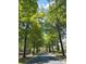 Serene street view with mature trees lining the road, enhancing the neighborhood's charm at 3011 Ella Katherine Way, Charlotte, NC 28210