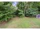 Large backyard with mature trees and a storage shed at 9605 Mountain Ivy Ct, Charlotte, NC 28210
