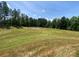 View of the backyard showing its expansive grassy lawn and mature trees at 6140 Balham Ct # Ken0059, Charlotte, NC 28215