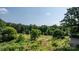 Vast green land with a wide array of trees and other vegetation, creating a serene atmosphere at 6314 Providence Church Rd, Vale, NC 28168